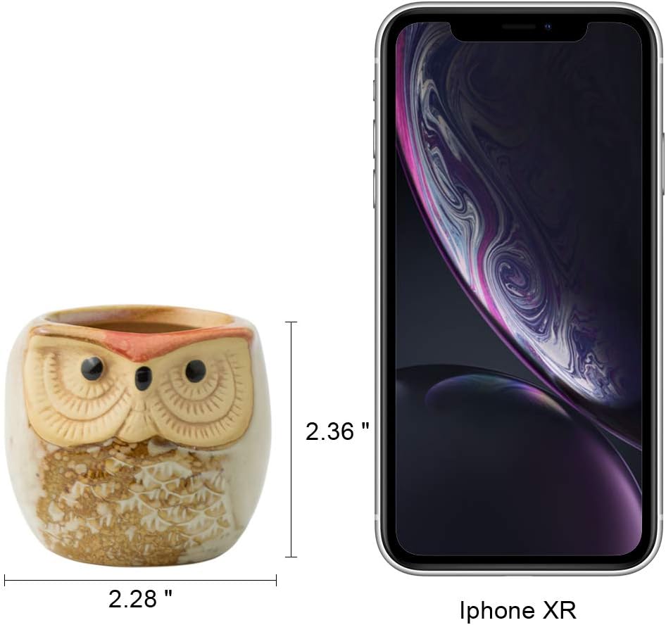 FairyLavie Succulent Pots, 2.5" Owl Planter Owl Pot, Small Pots for Plants Cute Small Planter with Accessories, Great for Home Decor and Ideal Gift, Set of 6 : Patio, Lawn & Garden