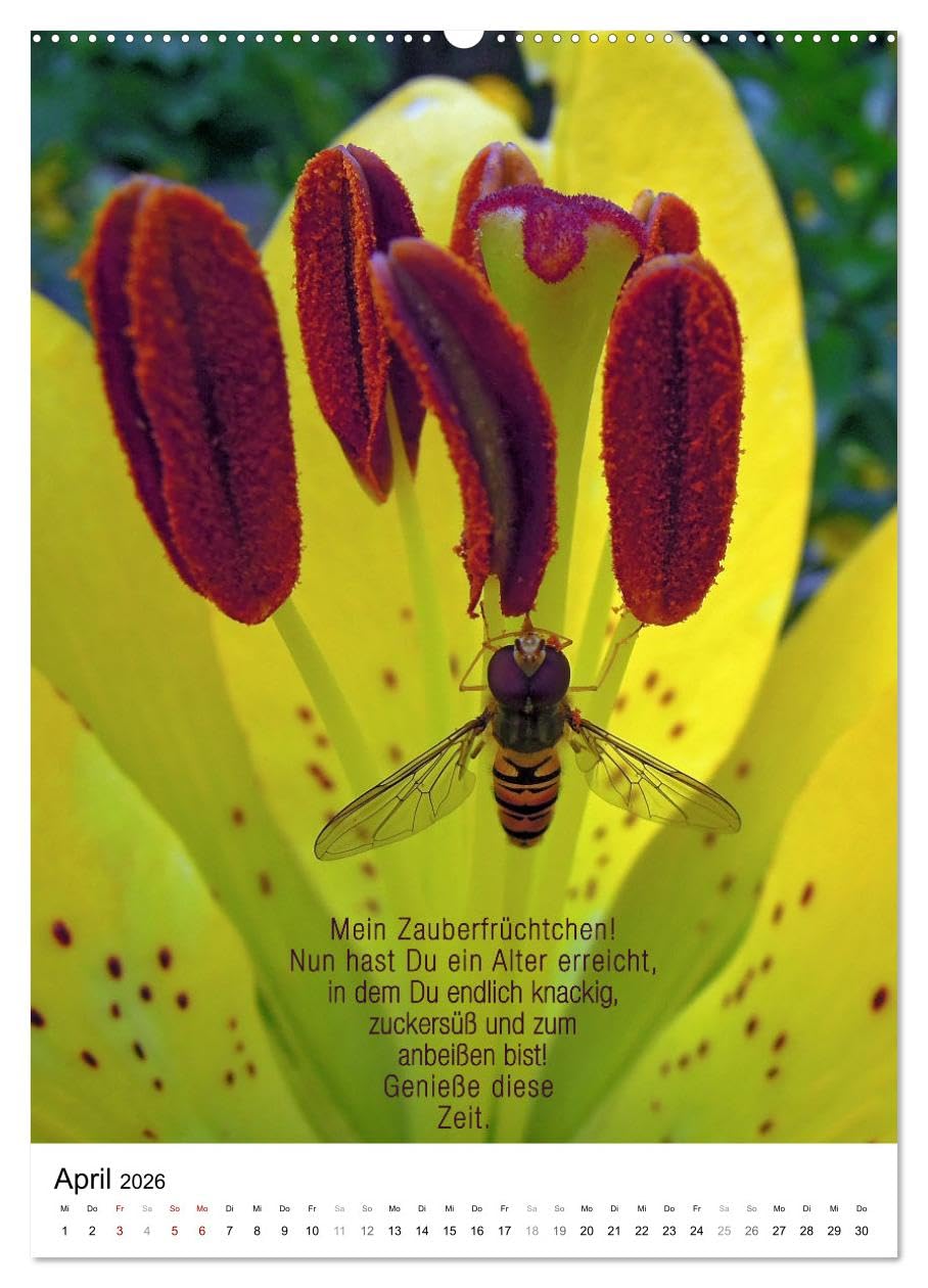 Licht Farbe Natur (hochwertiger Premium Wandkalender 2026 DIN A2 hoch), Kunstdruck in Hochglanz: Poetischer Kalender für lichte Momente (CALVENDO Natur)