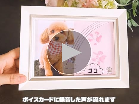 Amazon | ペット用（犬猫）写真立て 虹 うちのコの声と肉球