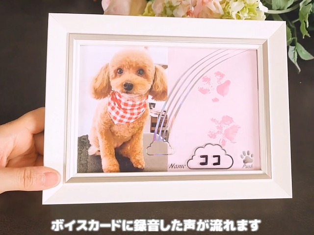 イ・チェヨン MAKESTAR限定 未公開フォトカード 子犬 ver. SET 132579-55-