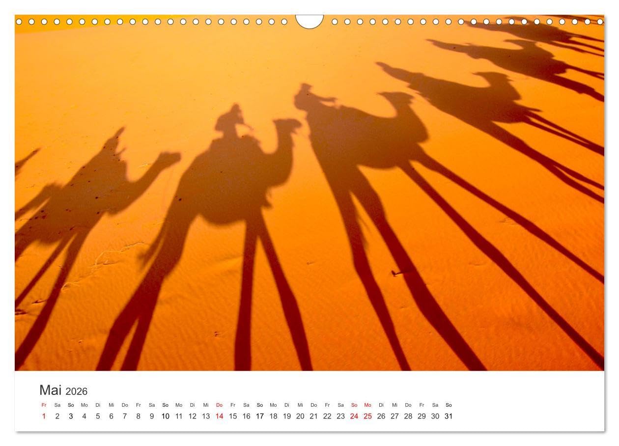 Kamele - die wahren Überlebenskünstler der Wüste. (Wandkalender 2026 DIN A3 quer), CALVENDO Monatskalender: Die geheimnissvollen Tiere der Wüste. (CALVENDO Orte)