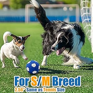 Soft Squeaky Dog Ball 2.56”, Latex Squeaky Dog Toys for Medium Dogs and Small Dogs to Fetch, Chase 3pcs (2.56inch, for Medium Breeds)