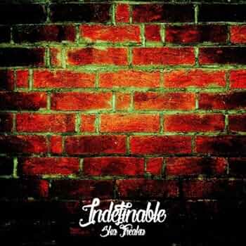 [廃盤] SKA FREAKS　デモ CDセット 616h34opWtL._UF350,350_QL50_.jpg