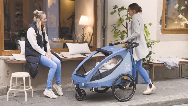 hauck Dryk Duo Plus Fahrradanhänger & Buggy für 2 Kinder mit Federung, Blue