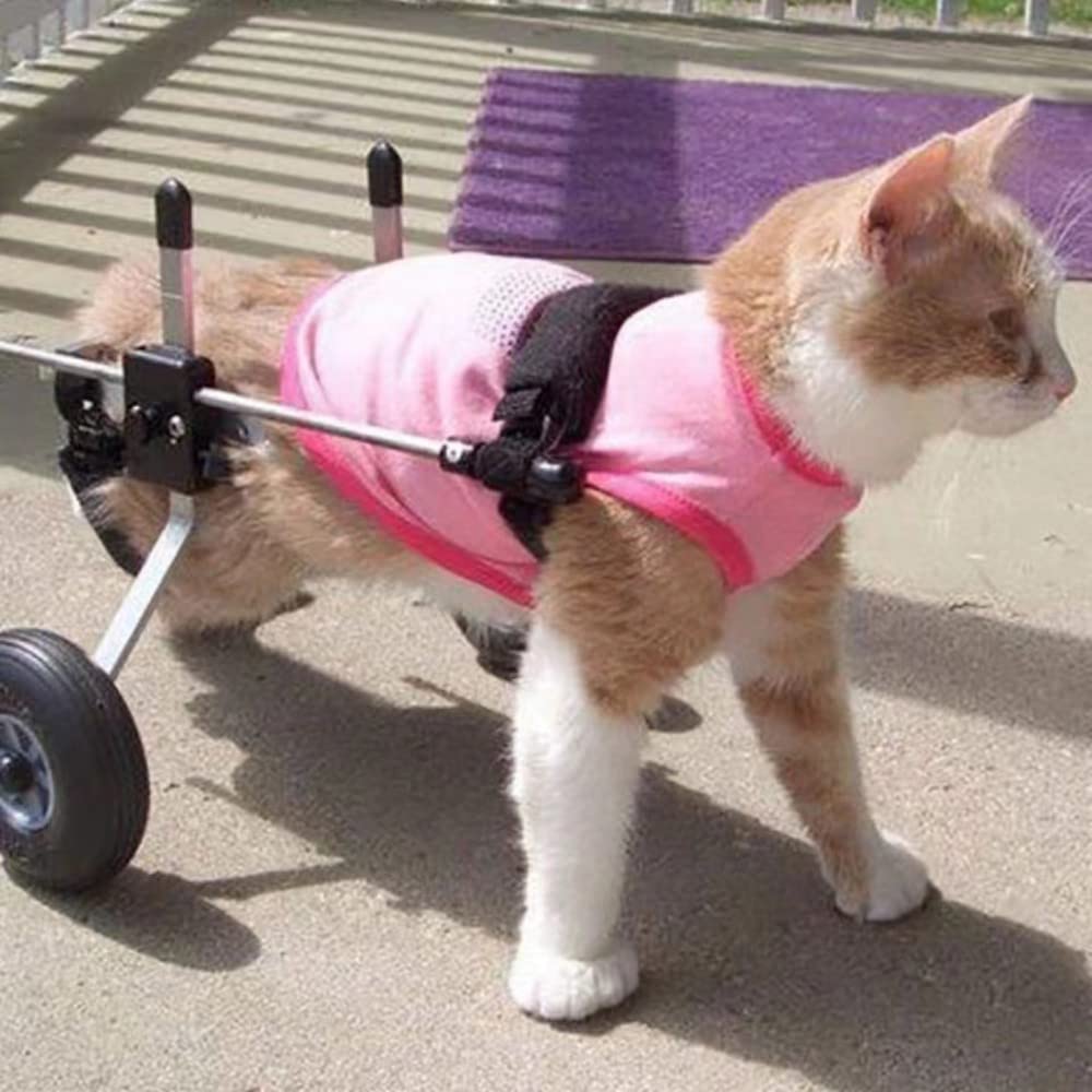 REMEK Passeggini Sedia A Rotelle per Riabilitazione delle Zampe Posteriori di Cane E Cuccioli, Carrello per Cani Anziani Feriti Disabili, Carrellino Adatto per Zampe Posteriori 8 A 30 Cm