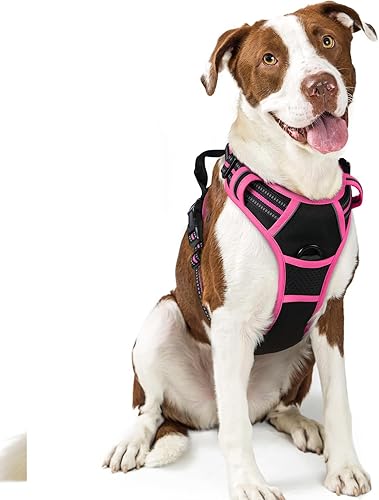 Vista 32 de rabbitgoo - Arnés antitirones para perro grande, con 2 aros para correa, acolchado suave, ajustable, tela Oxford, reflejante, no asfixia, chaleco