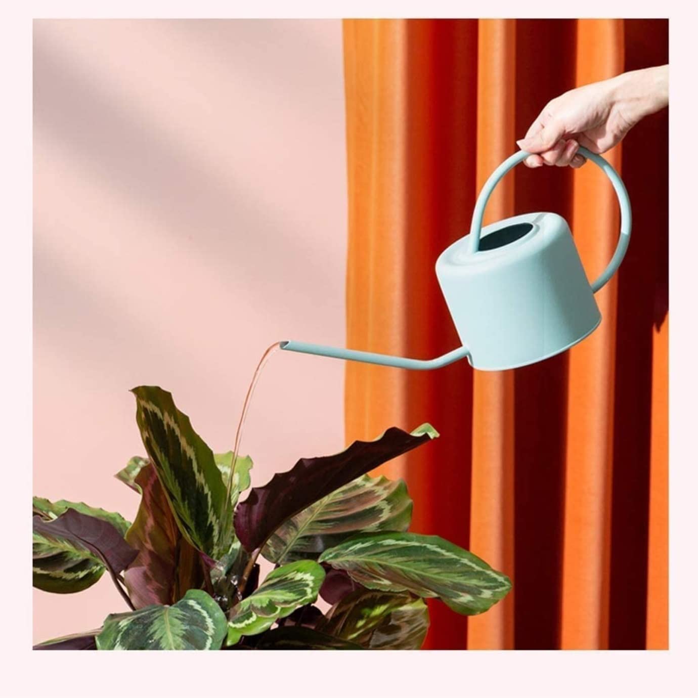 Konewka Konewka Ze Stali Nierdzewnej Do Roślin Domowych Długa Wylewka Kwiatów Ogrodowych Bonsai Ogrodnictwo(Yellow)