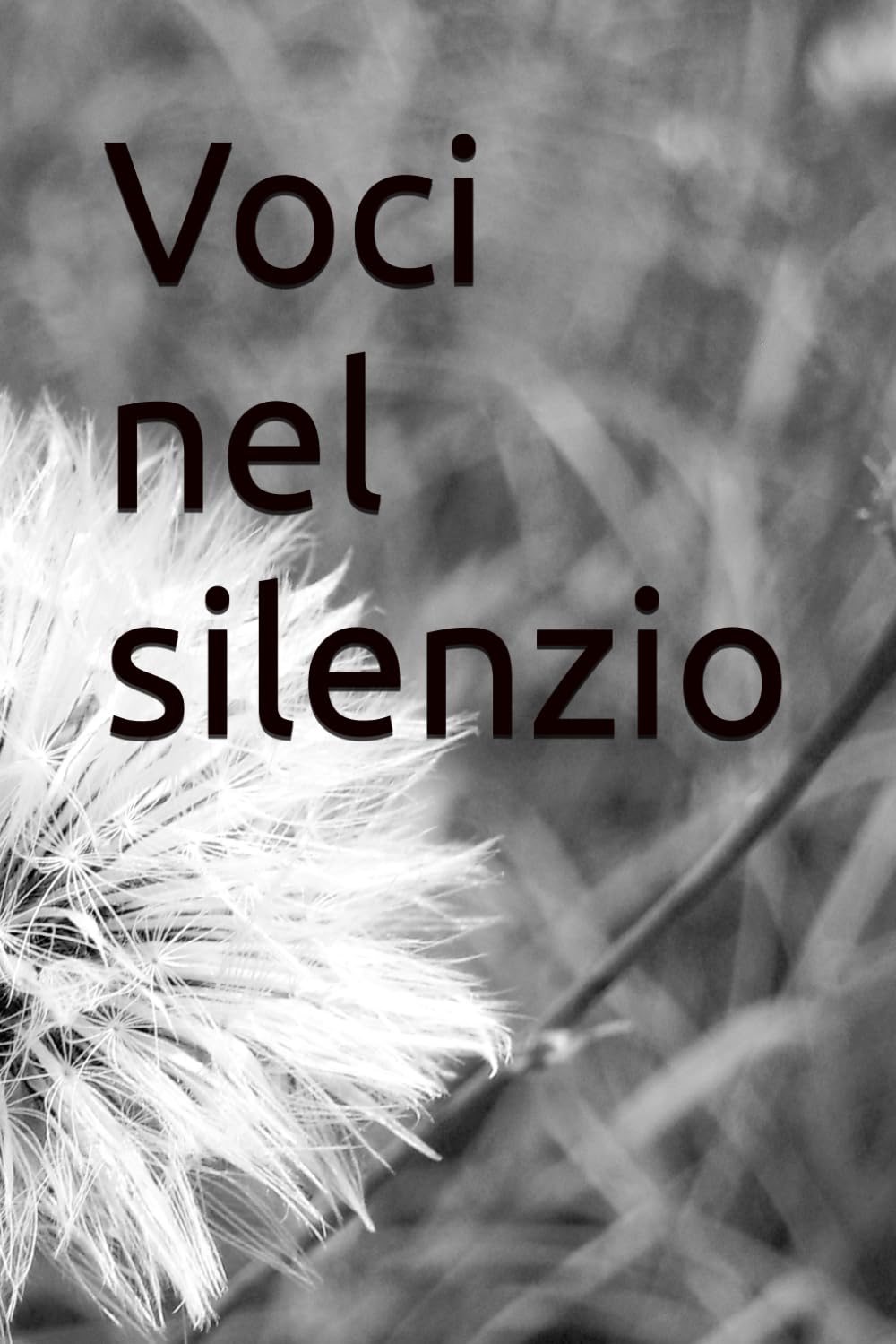 Voci nel silenzio