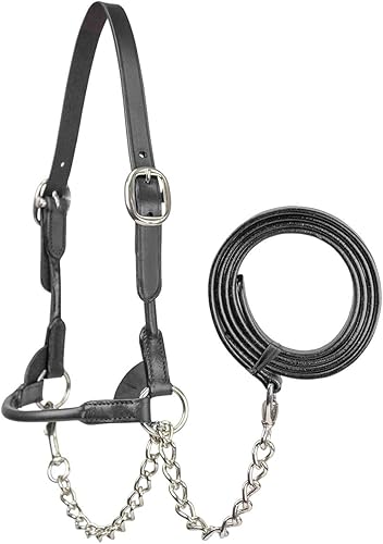 Derby Originals New and Improved Premium Round Rolled Leather Cattle Show Halter with Matching Chain Lead