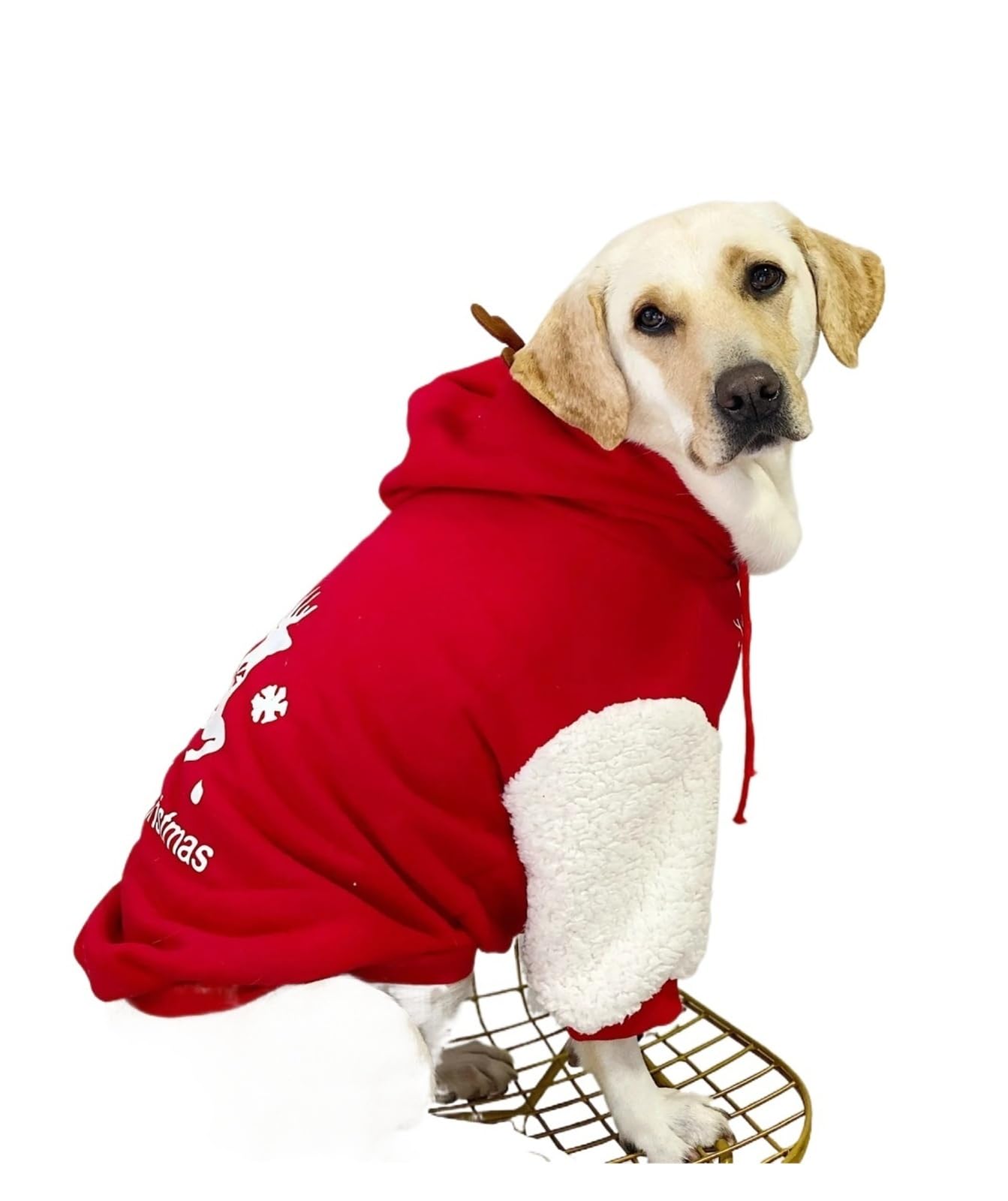Ubranka dla psa zimowe ciepłe bawełniane polarowe bluzy świąteczne w kolorze jelonka duży golden retriever labrador(8XL(16.5-20KG))