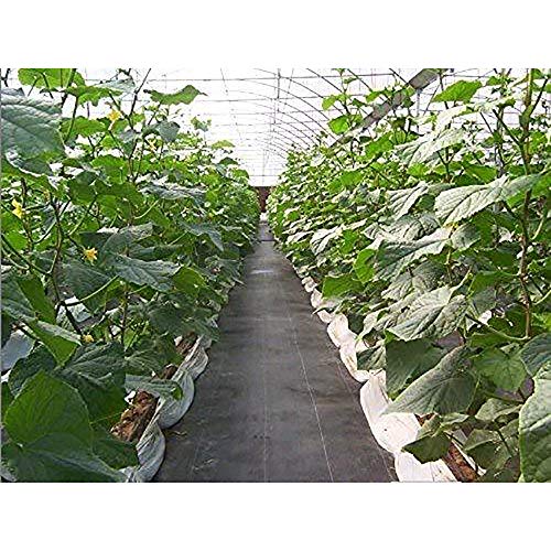 image for Agfabric 6x50ft Landscape Ground Cover Heavy PP Woven Weed Barrier,Soi