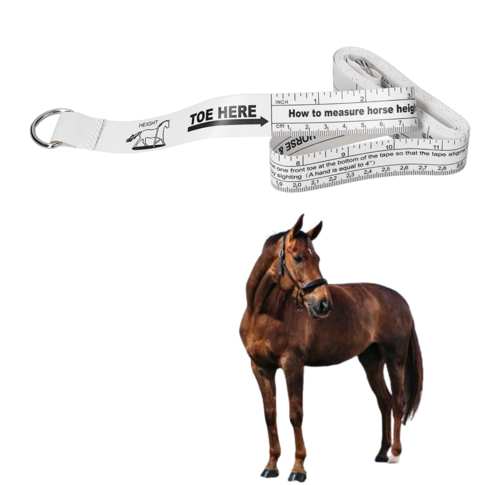 Mètre Ruban Zoométrique pour Evaluer le Poids d'un Cheval, HIPPOTONIC