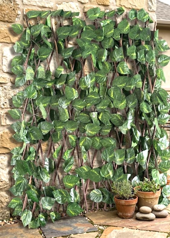 UTILIZZO: Può essere applicata su balconi, muri e ringhiere da giardino oppure utilizzata come decorazione da parete, recinzione e frangivista. Allo stesso tempo, lascia passare l'aria per mantenere la ventilazione.