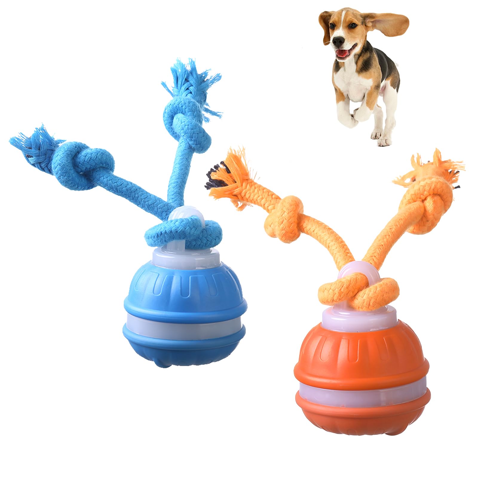 Interaktives Hundespielzeug