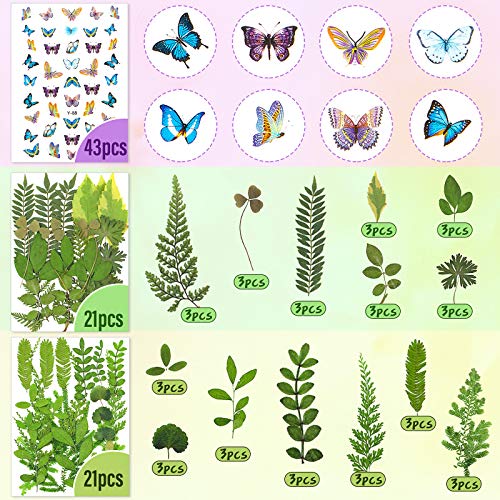 Set de 223 flores secas prensadas y stickers de mariposas miniatura 4