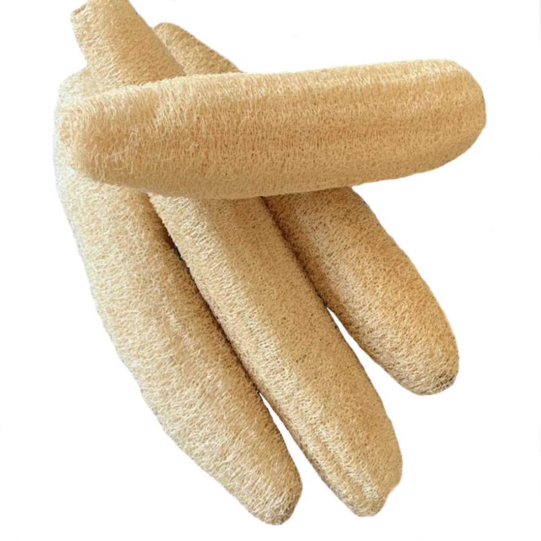 Natural Organic Loofah, Body Scrubber/Bathing Sponge for Unisex, Size: 10-12 inch (Pack of 5)-image-5