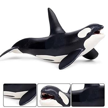 Amazon | Eden Toys シャチ マイルカ科 海獣 海洋動物 動物 模型