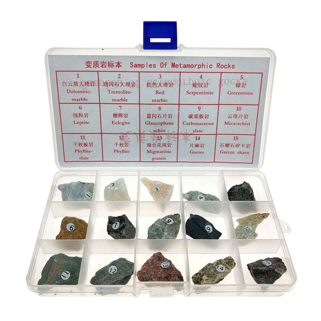 LoveinDIY Metamorphic Rock Teaching Aid Supplies Collection, Ages 8 and Up