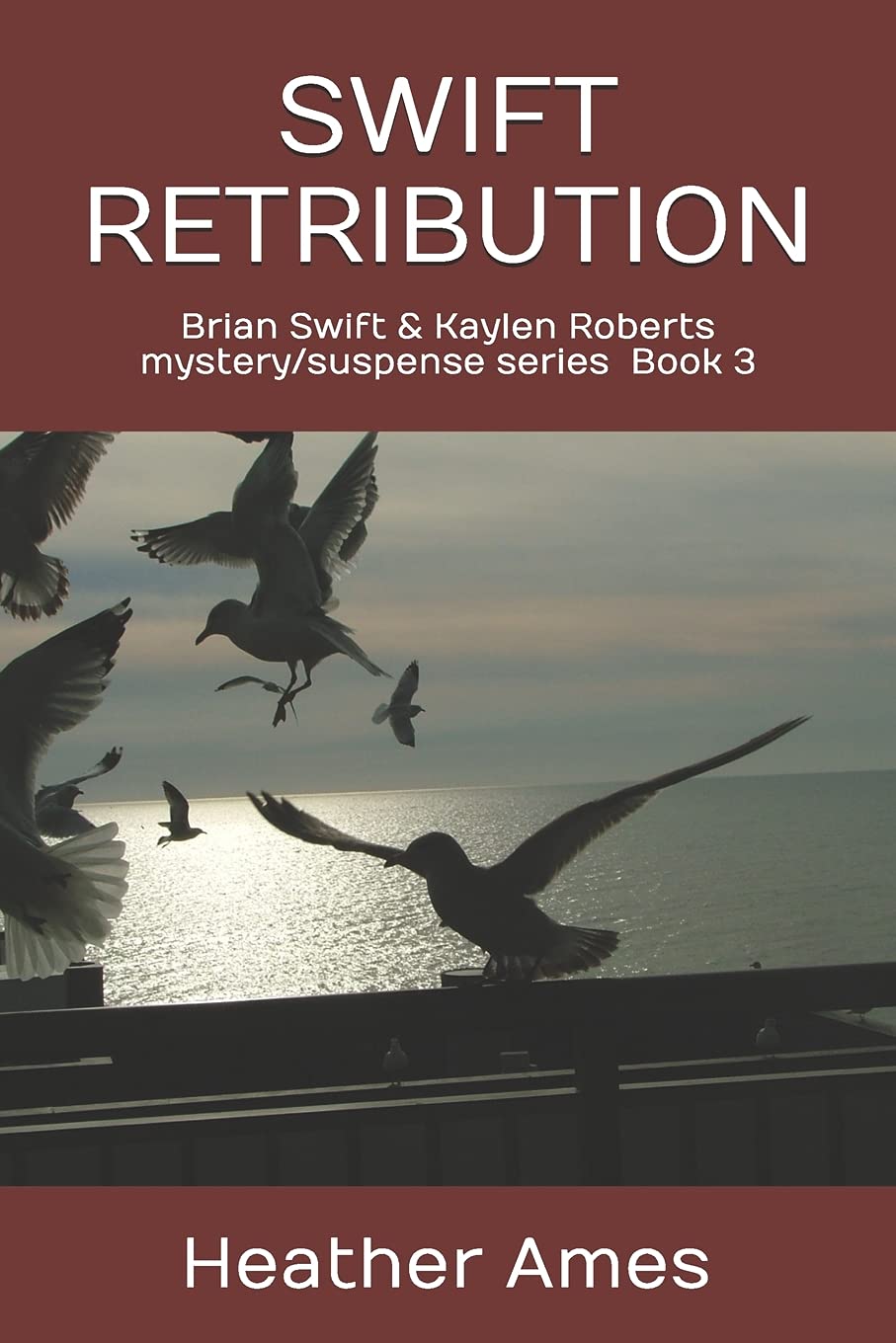 SWIFT RETRIBUTION: Brian Swift & Kaylen Roberts mystery/suspense series Book 3