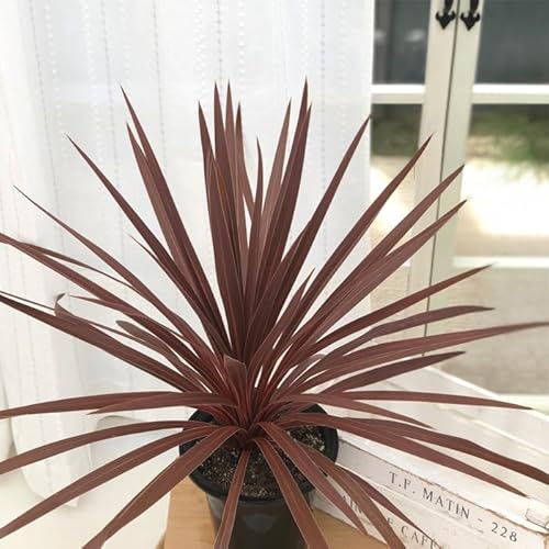 ϗtA RWl bhX^[ 5 RfBl ϗtA J[[t