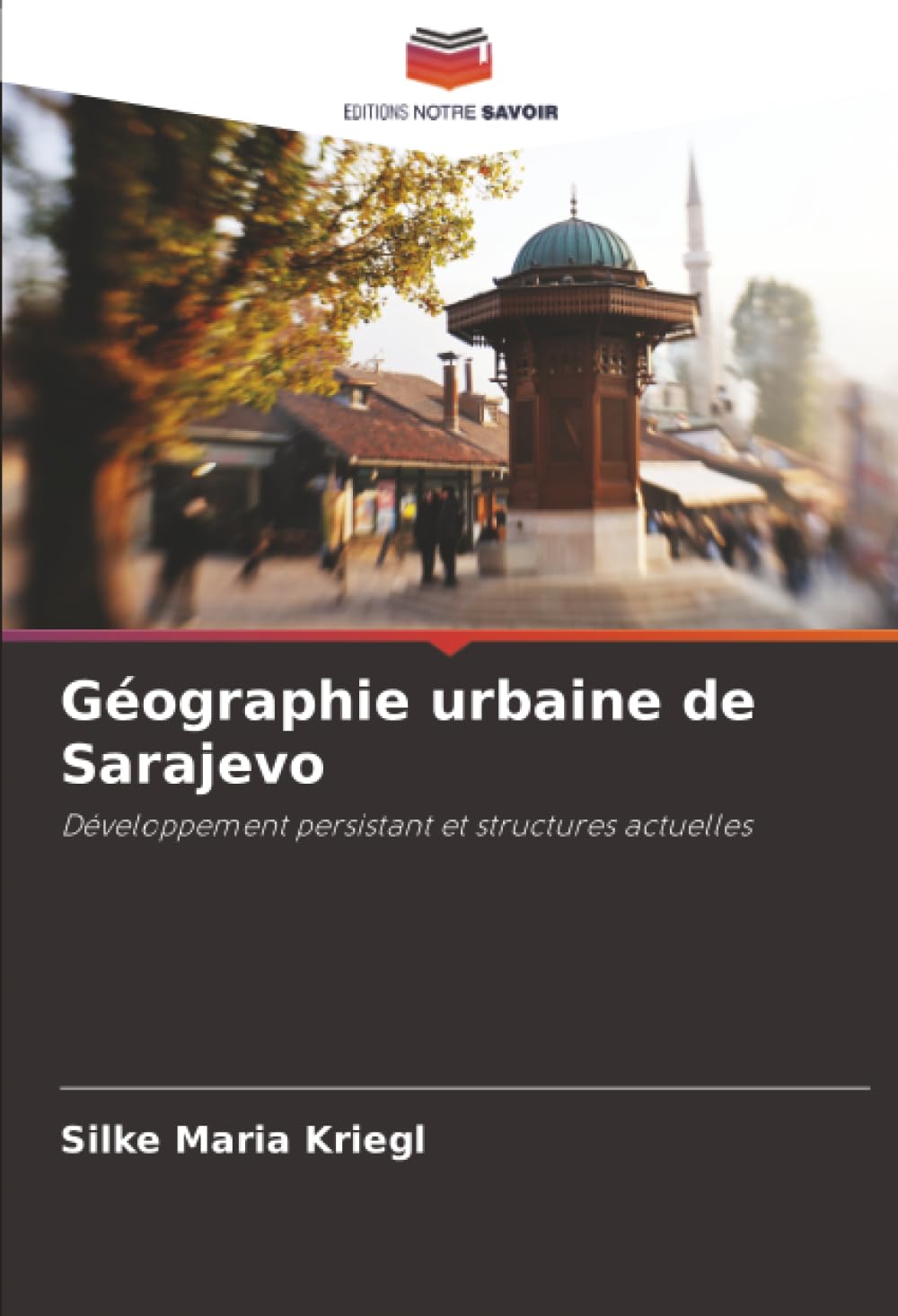 Géographie urbaine de Sarajevo: Développement persistant et structures actuelles