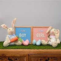 Vista 4 de Felt Like Sharing Letras de plástico de 2 pulgadas (326 piezas) - Accesorios blancos para tablero de fieltro intercambiable