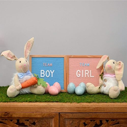 Miniatura 5 de Felt Like Sharing Letras de plástico de 2 pulgadas (326 piezas) - Accesorios blancos para tablero de fieltro intercambiable