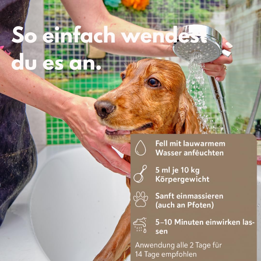 by Dr. Winkler dermatologisches Hundeshampoo – Fellpflege Hund mit Manuka-Honig & Chlorhexidin – für alle Hunderassen, Welpen & speziell Allergiker – 250ml