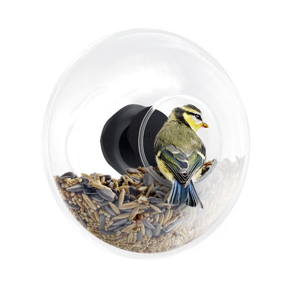 Window Bird Feeder