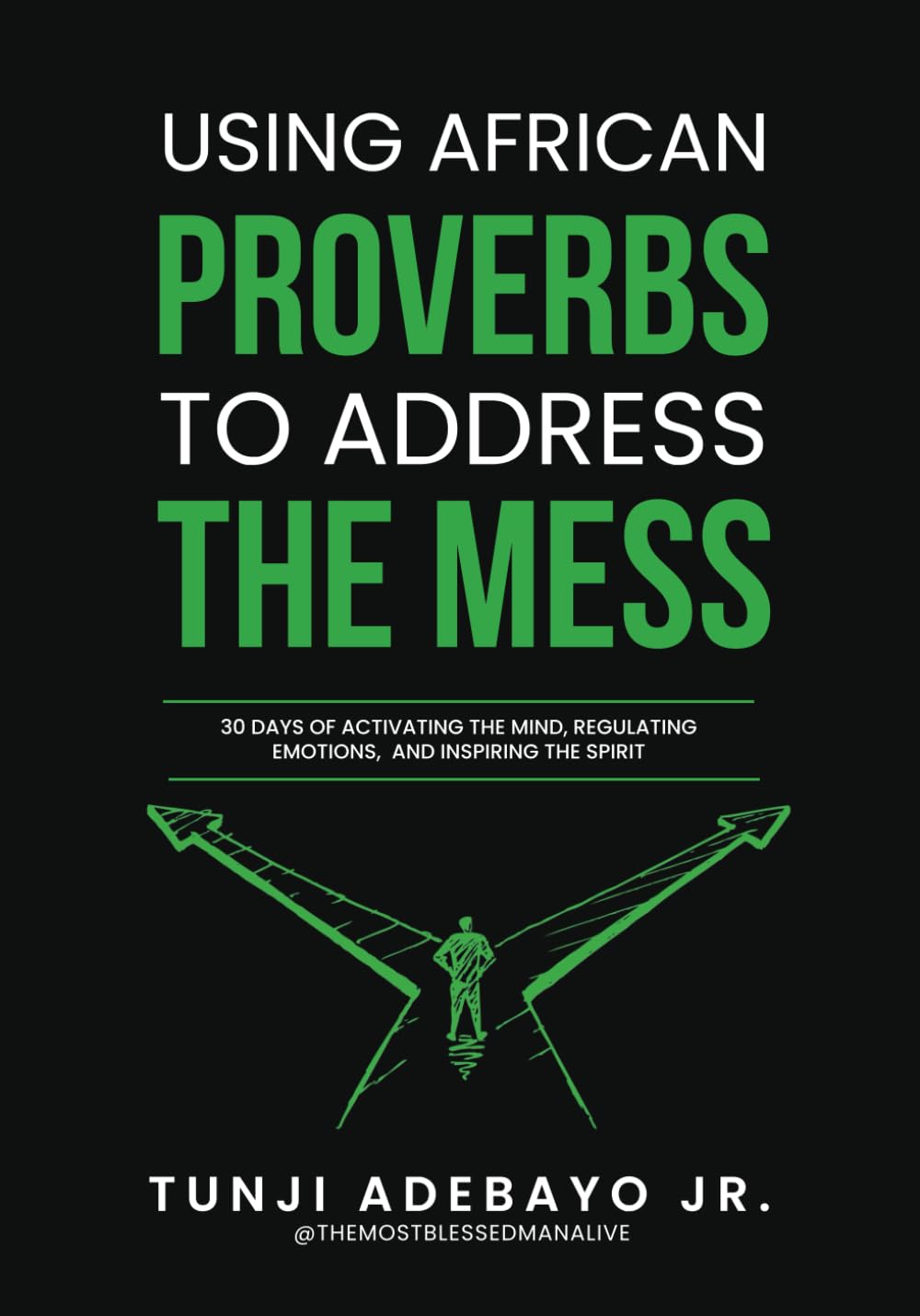 USING AFRICAN PROVERBS TO ADDRESS THE MESS: 30 Days of Activating the Mind, Regulating Emotions, and Inspiring the Spirit