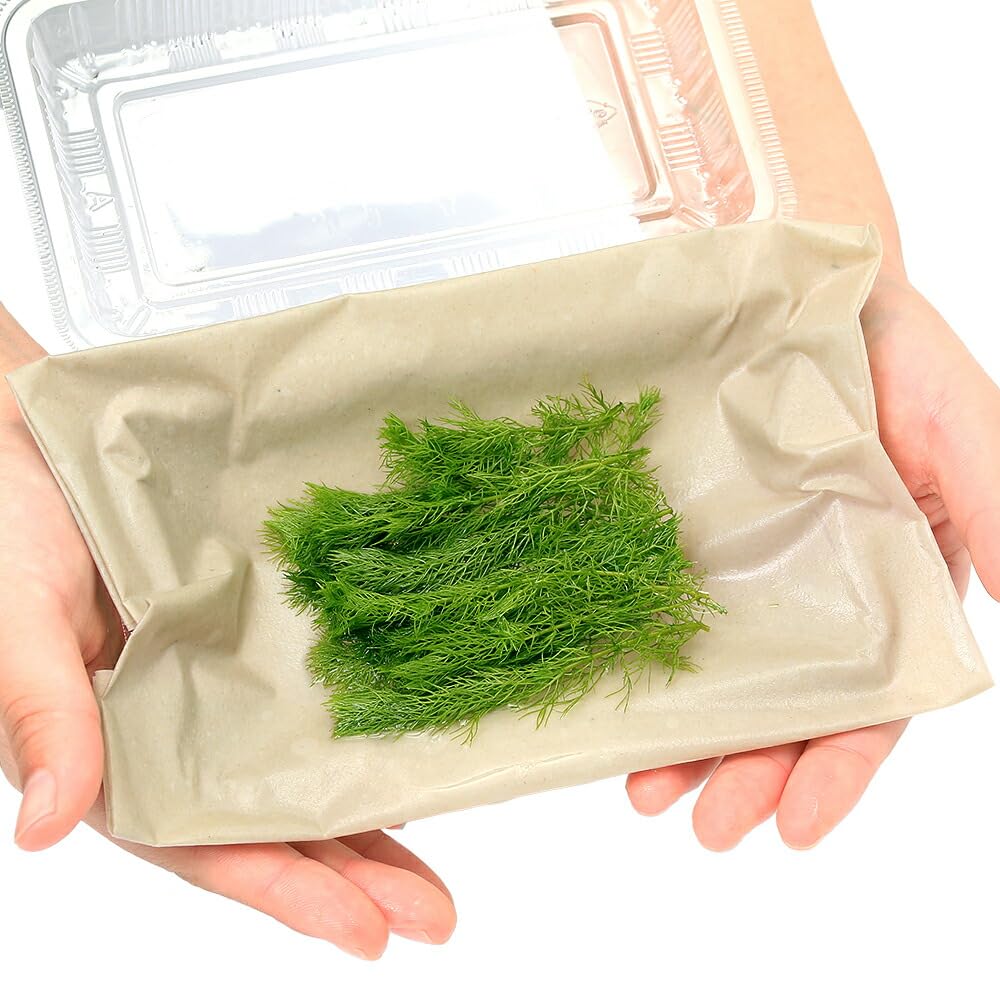 Amazon.co.jp: （水草）ミリオフィラムsp．（ガイアナドワーフ