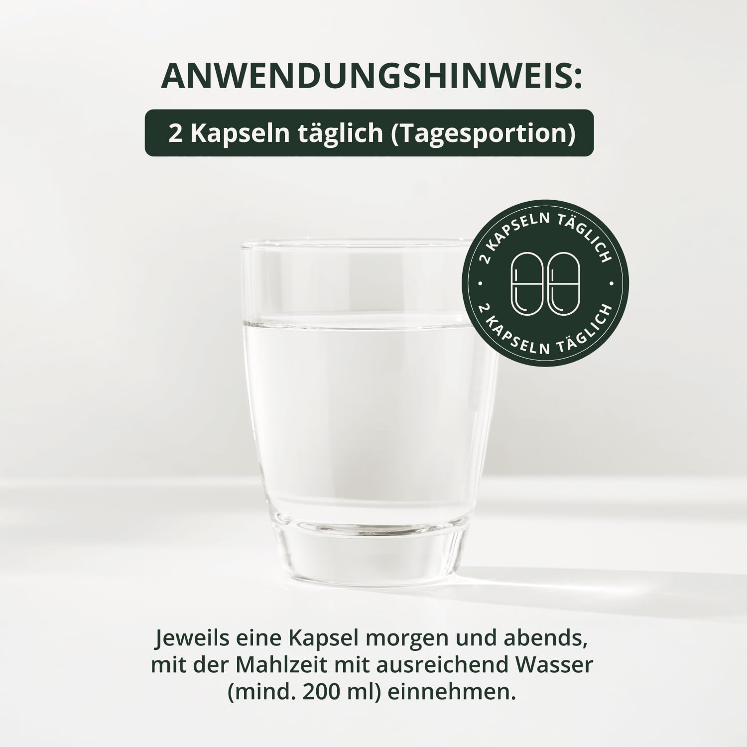 BodyFokus DarmSchild L-Glutamin Magnesium Zink Vitamin A Komplex 60 Kapseln