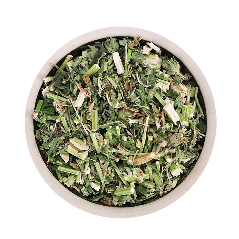 Motherwort,Leonurus Artemisia Yi Mu Cao,Herba Leonuri Leenurus Heterophyllus Yi Mu Cao Motherwort Yi Mu Cao Leonurus Heterophyllus Sweet Herba Leonuri Herbs Motherwort (500 Grams /1.10 lbs)