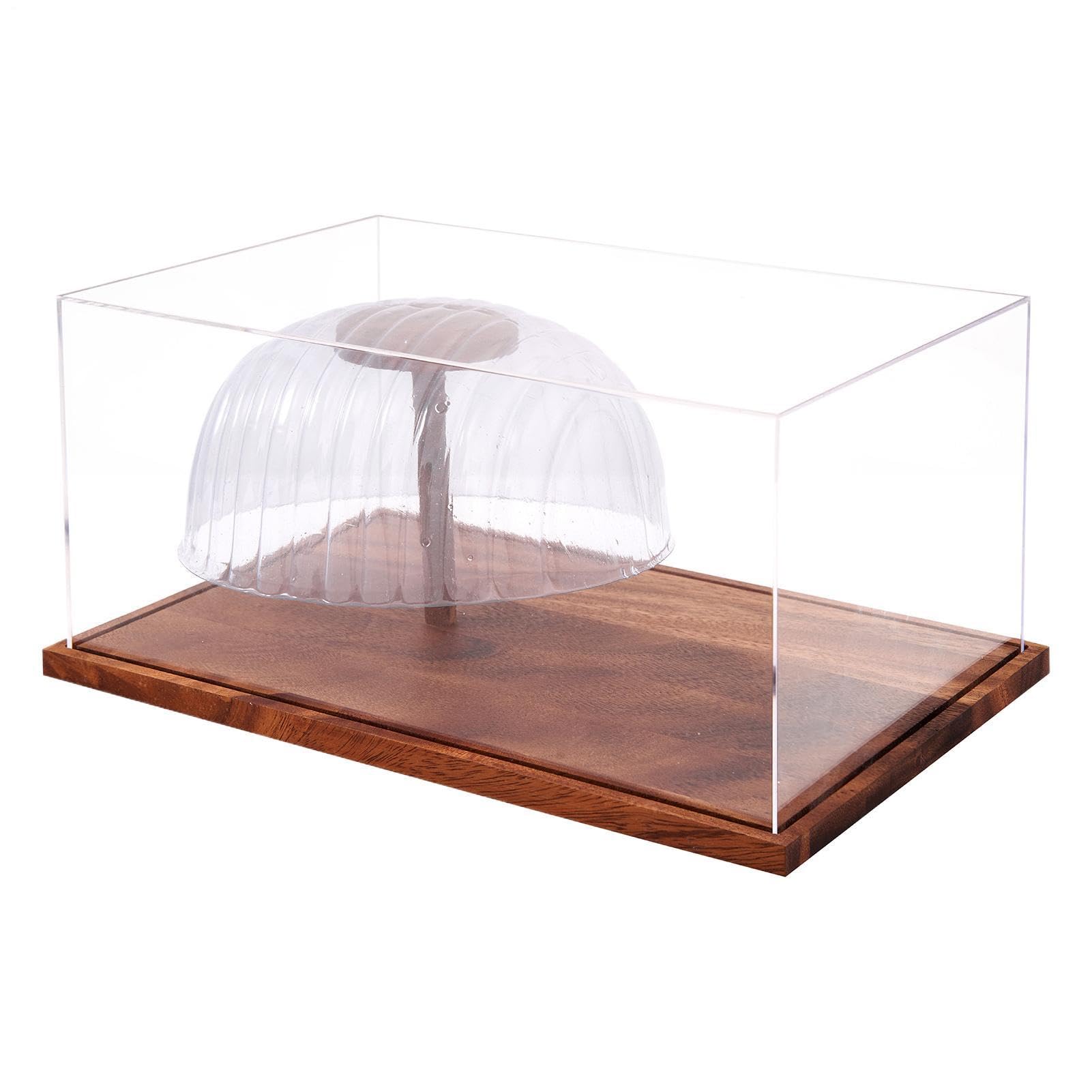 Teca Espositiva per Cappellini 20x30x15 cm Custodia Antipolvere in Acrilico