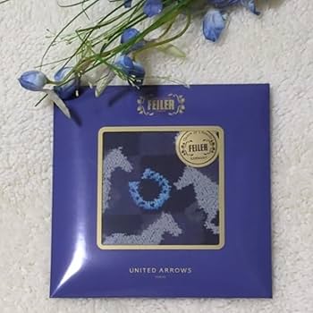 Amazon.co.jp: フェイラー スプリントホース ユナイテッド