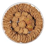 Eastanbul Barazek, 12.35oz, Barazek with Sesame Cookies, Lebanese Sweets, Pistachio Cookies, Sesame Snaps, Middle Eastern Sweets, Sesame Cookies, Eid Cookies, Classic Barazek with Pistachio