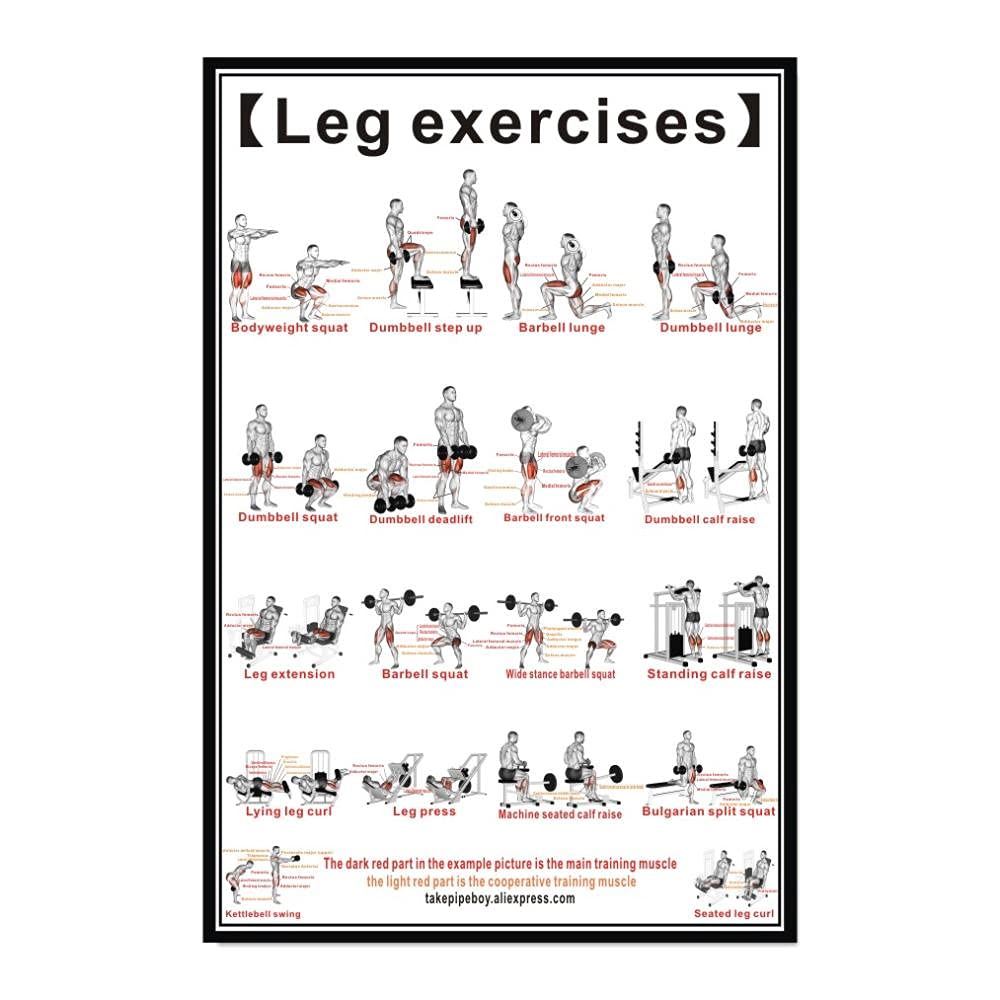 Lot De 2 Affiches D'entraînement Haltères Et Exercices, Format 45x60 Cm, Plastifiées, Neuves