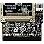 Monoprice 102105 IDE to Compact Flash CF Adapter Direct Insertion [B1] (102105)