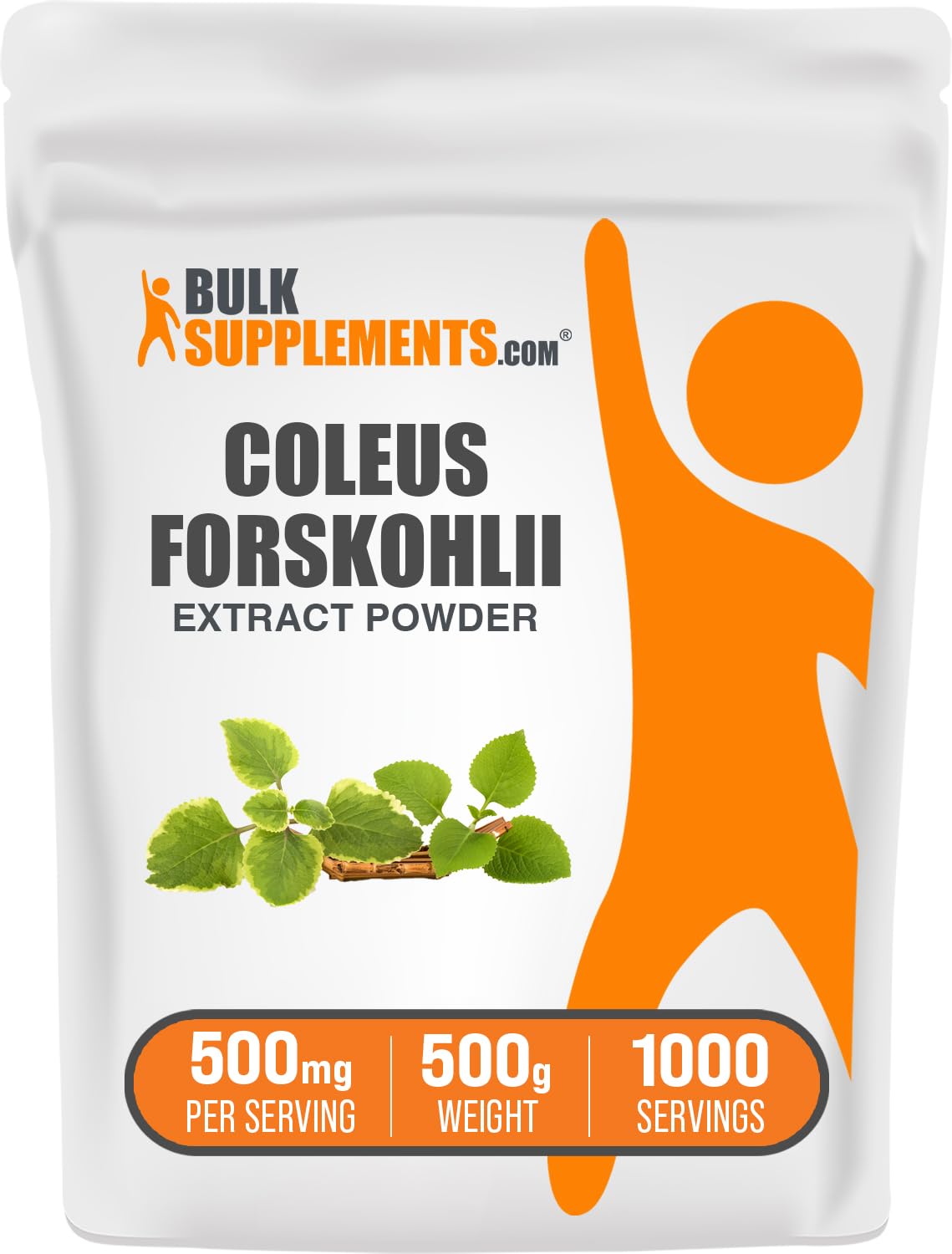 BulkSupplements.com Coleus Forskohlii Extract Powder - Forskolin Supplement, Forskolin Powder - Herbal Supplement, Gluten Free, 500mg per Serving, 100g (3.5 oz) (Pack of 1) — Amazon image 9