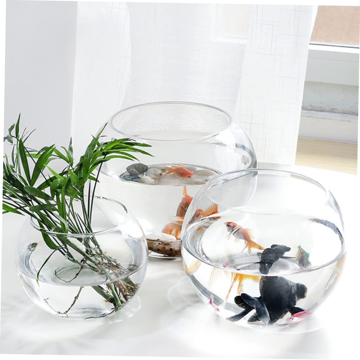 Vase en Verre Transparent Arrondi pour Plantes Hydroponiques Surface Lisse et Résistante la Rouille, Décoration de Bureau Créative pour Maison ou Hôtel