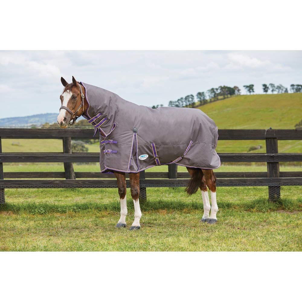 Weatherbeeta - Manta Combo de Ejercicio para Caballos ComFiTec Essential Medium (4') (Marino, Plateado, Rojo)