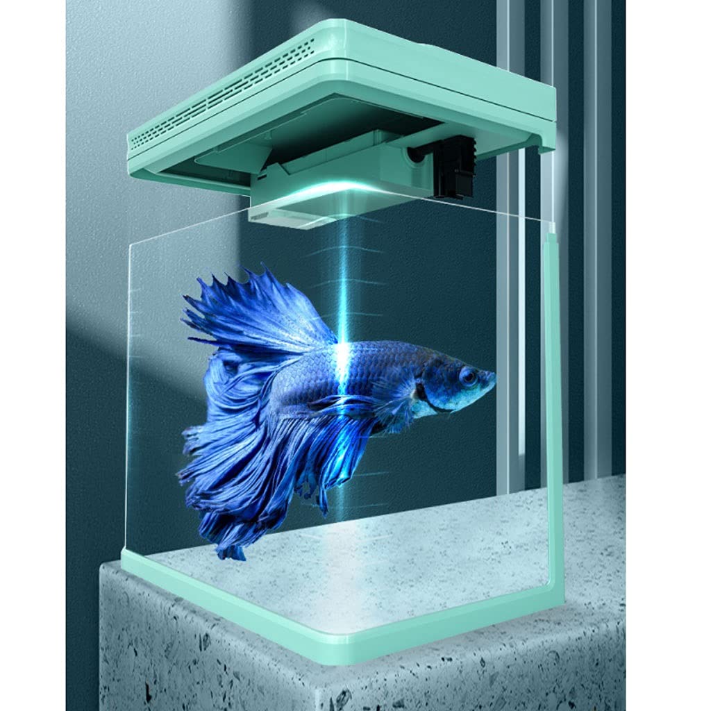 Aquarium Petit Aquarium en Verre, aménagement paysager, Petit Salon, Maison, Bureau, Poisson Rouge, décoration écologique, Changement d'eau Gratuit Bac à Poisson