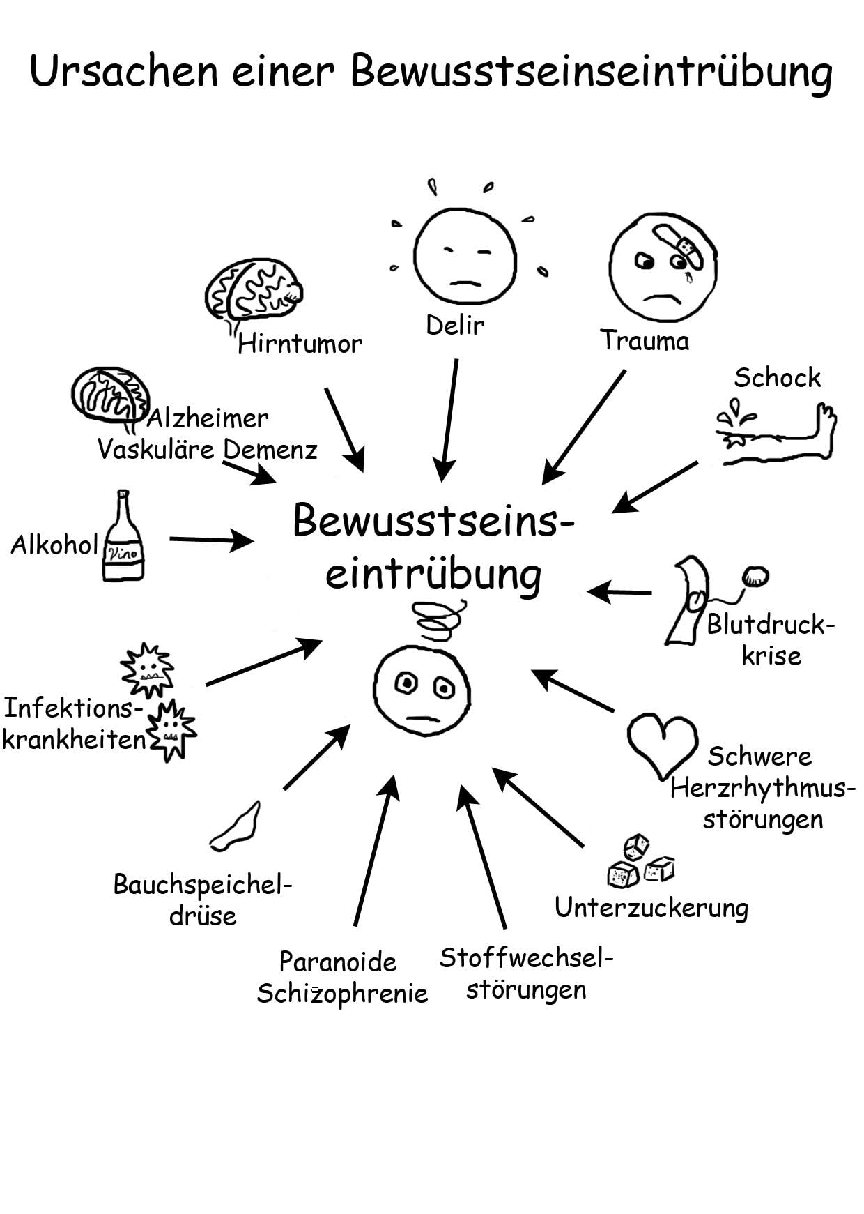Basiswissen Psychiatrie / Psychotherapie für Heilpraktiker kurzgefasst in Wort und Kullerköpfen - Ein Lernskript für den Überblick und als Lernhilfe