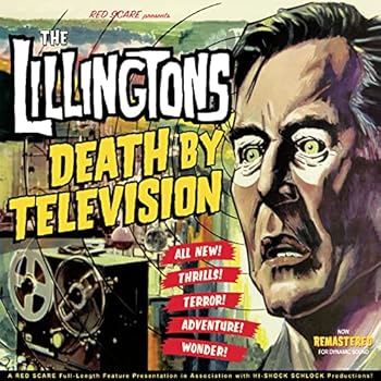 Vinyl Death By Television Book