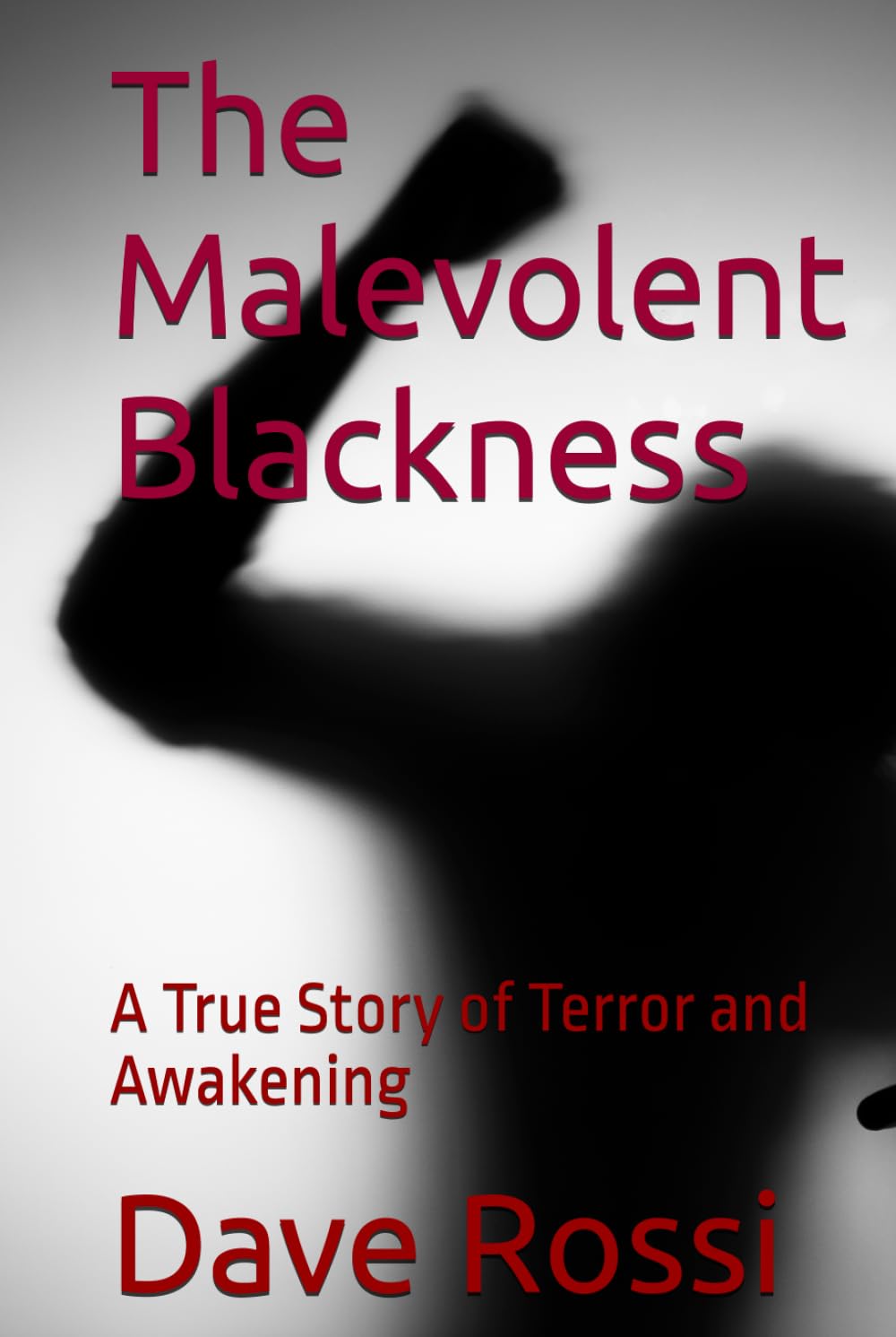The Malevolent Blackness: A True Story of Terror and Awakening
