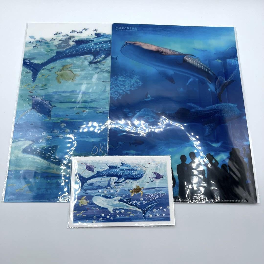 Amazon.co.jp: 美ら海水族館 クリアファイル 沖縄 ポストカード お土産