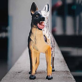 Amazon.co.jp: BONOCO 4Dビジョンメディカルドッグアナトミーモデル