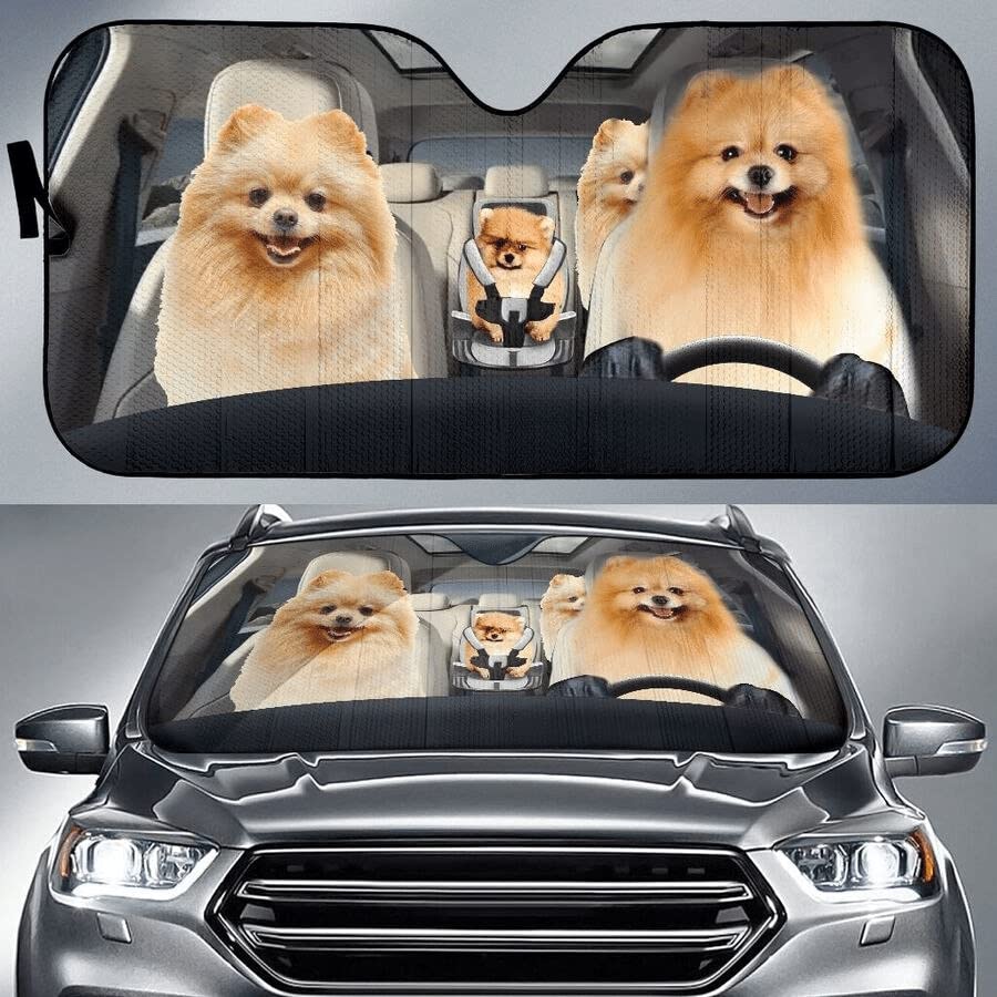 BAGEYOU Parasole Auto Pomerania Spitz: Tieni La Macchina Fresca E Protetta Dal Sole! (140x76 Cm)
