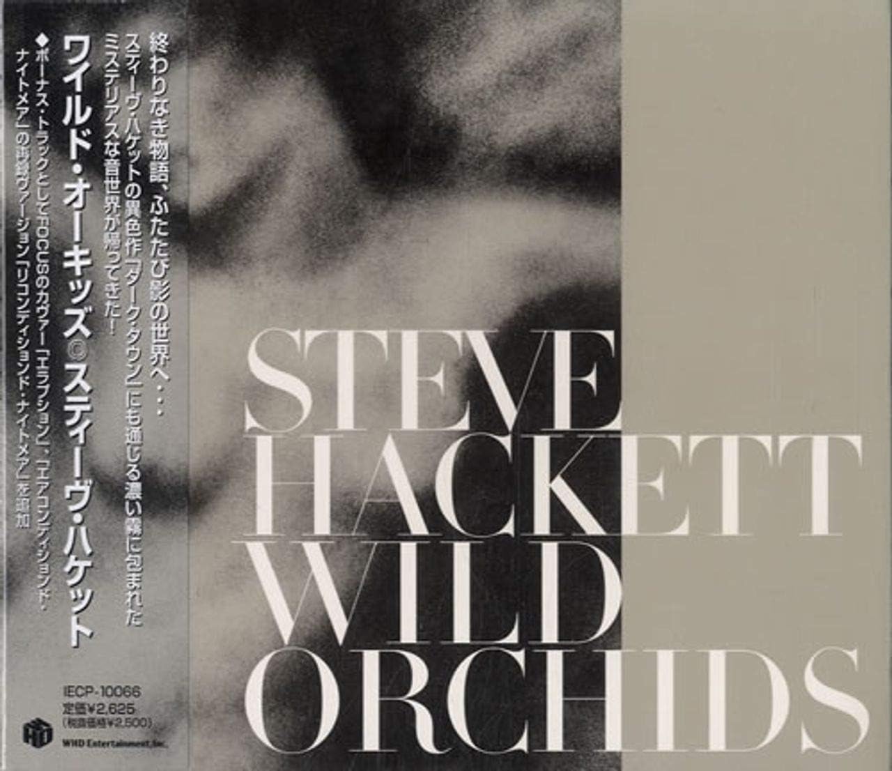Steve Hackett Wild Orchids