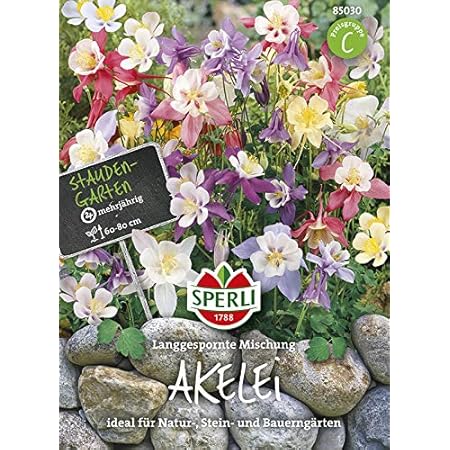 Akelei Langgespornte Mischung von Sperli-Samen